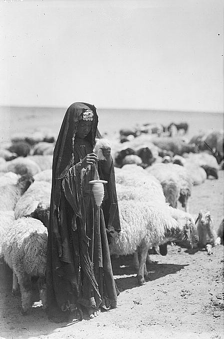 Kobieta wśród owiec pasterka
